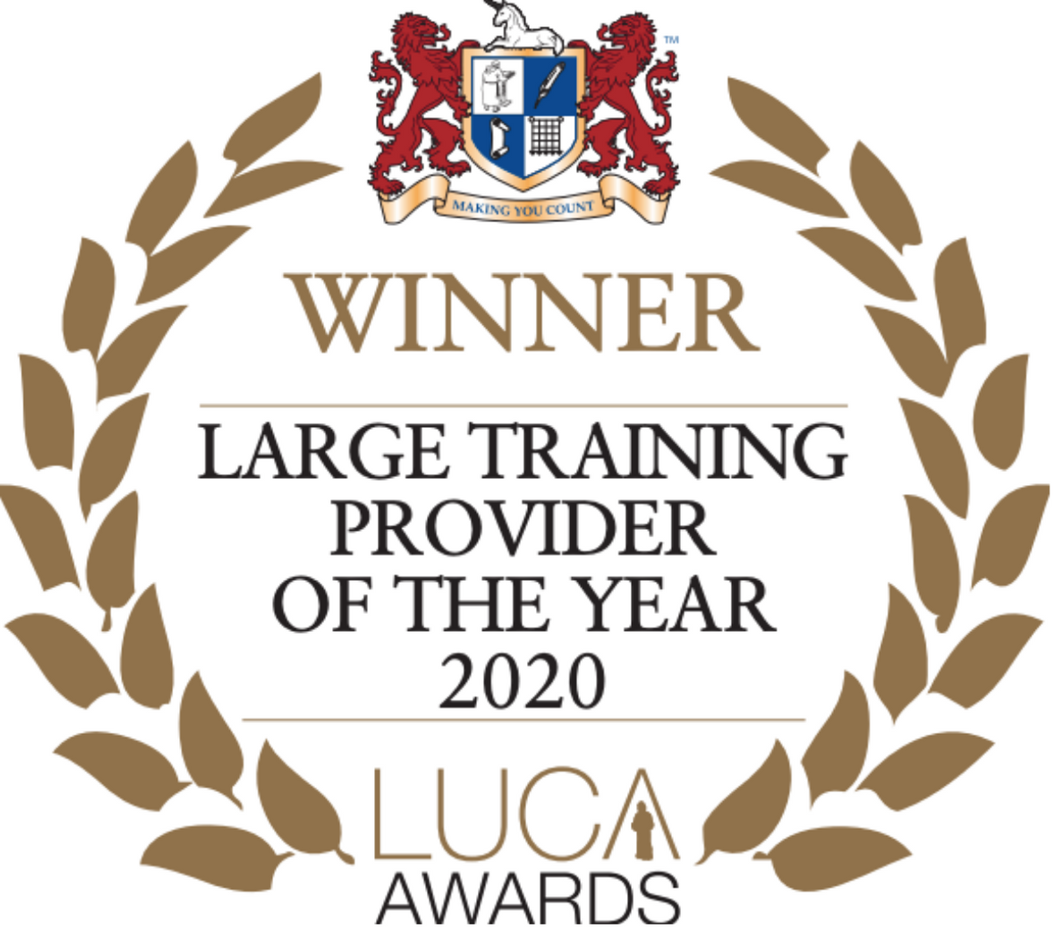 Large Training Provider of The Year 2020