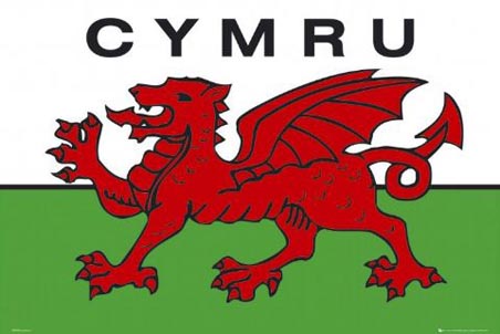 Welsh Flag