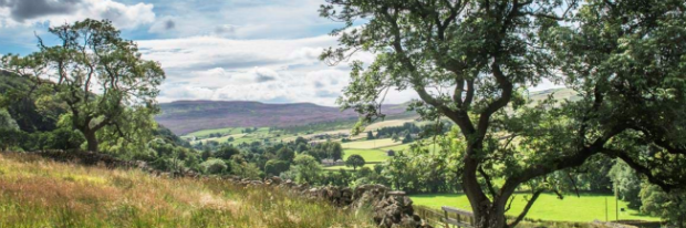 Oulton Hall Landscape